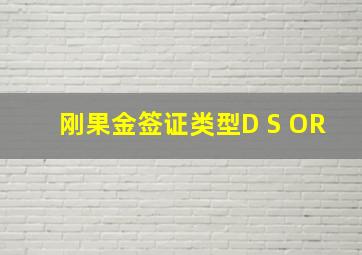 刚果金签证类型D S OR